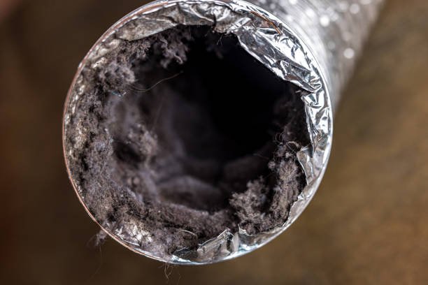 Best Emergency Air Duct Cleaning  in Cementon, PA
