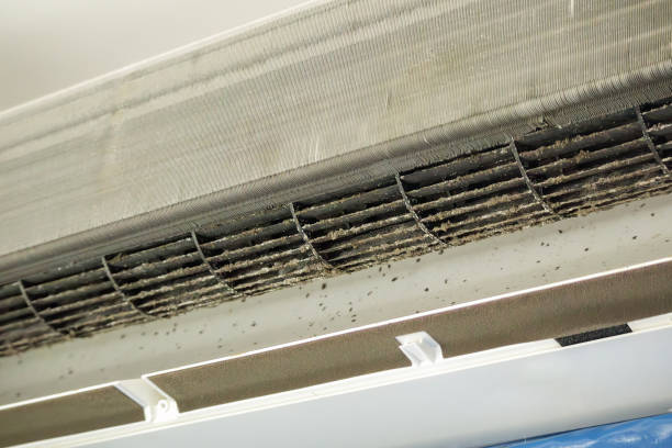 Best Air Duct Cleaning Near Me  in Cementon, PA
